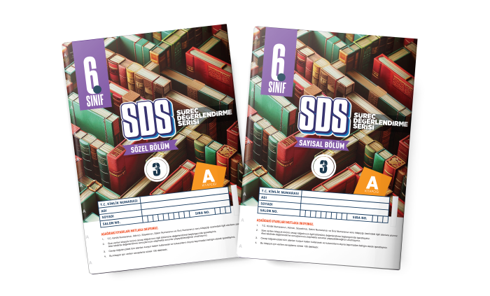 BES 06.SINIF SÜREÇ DEĞ. (SDS) SY/SZ 3-A - 25-26